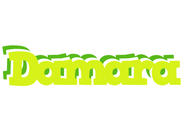 Damara citrus logo