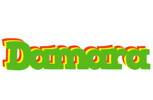 Damara crocodile logo