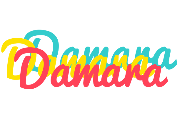 Damara disco logo