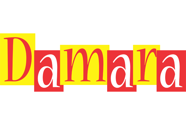 Damara errors logo