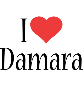 Damara i-love logo