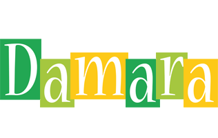 Damara lemonade logo