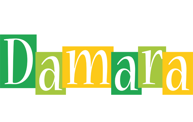 Damara lemonade logo