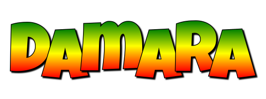 Damara mango logo