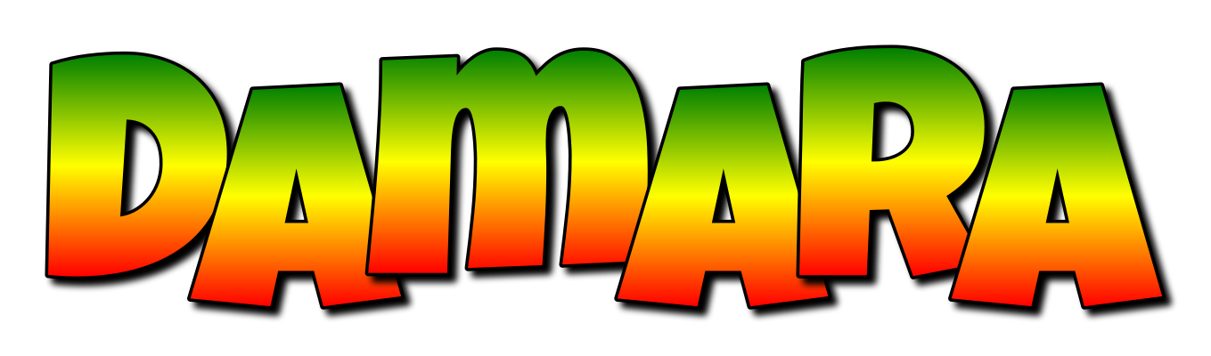 Damara mango logo