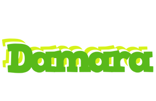 Damara picnic logo
