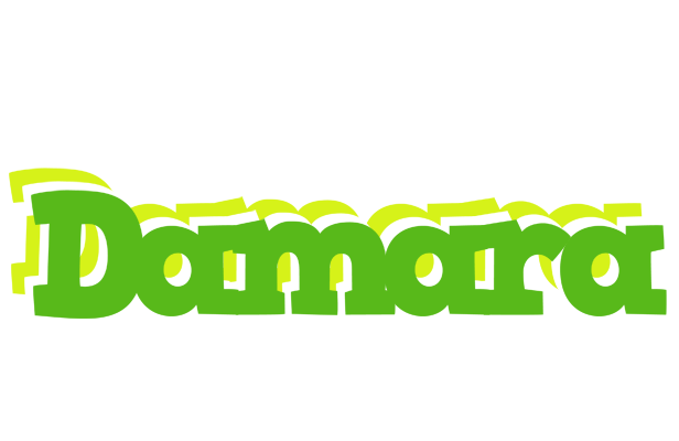 Damara picnic logo