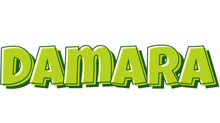 Damara summer logo