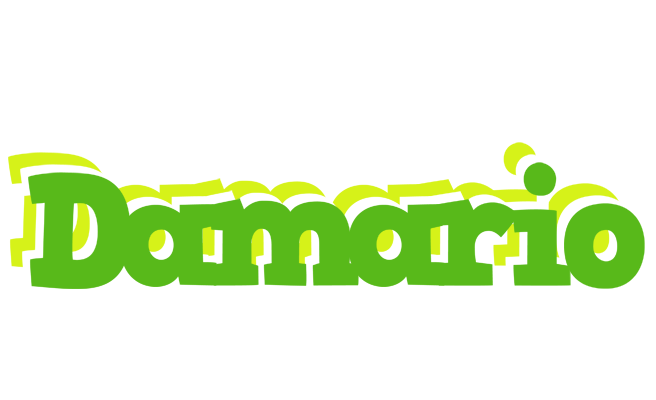 Damario picnic logo