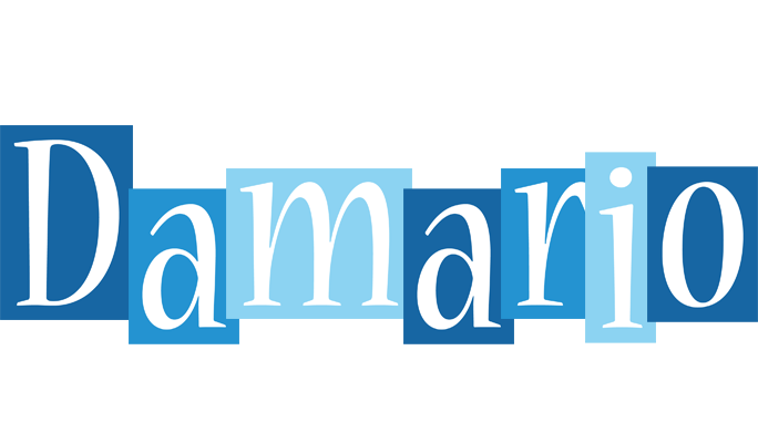 Damario winter logo