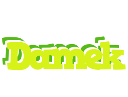 Damek citrus logo