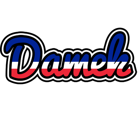 Damek france logo