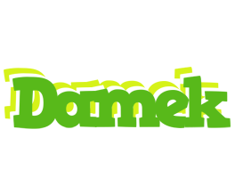 Damek picnic logo