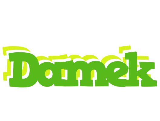 Damek picnic logo