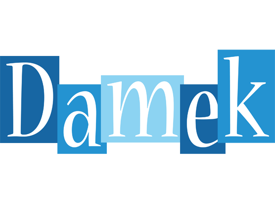 Damek winter logo