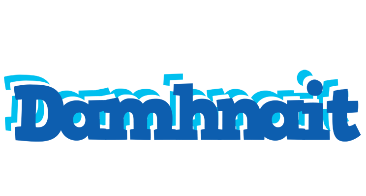 Damhnait business logo