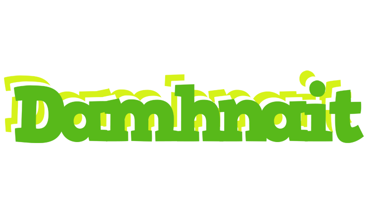 Damhnait picnic logo