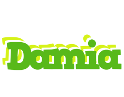 Damia picnic logo