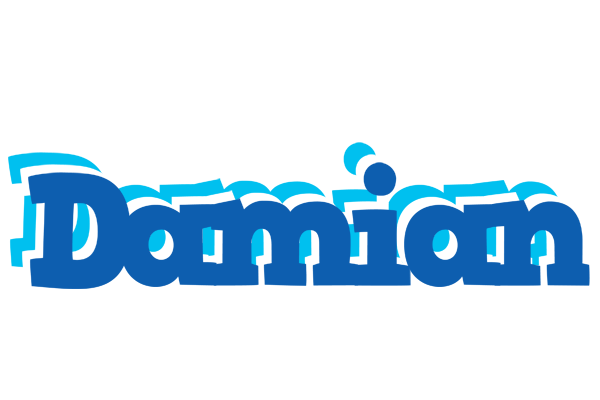 Damian business logo