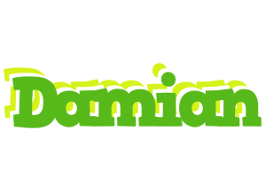 Damian picnic logo