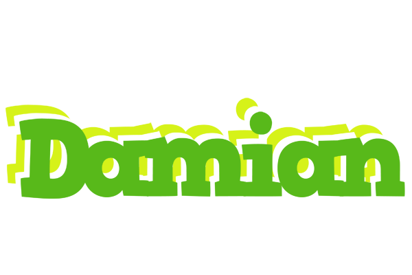 Damian picnic logo