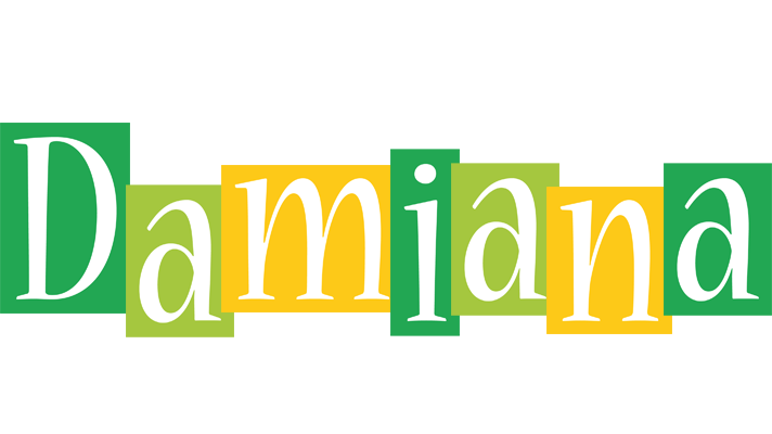 Damiana lemonade logo