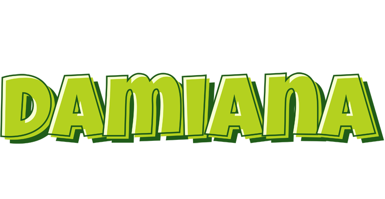 Damiana summer logo