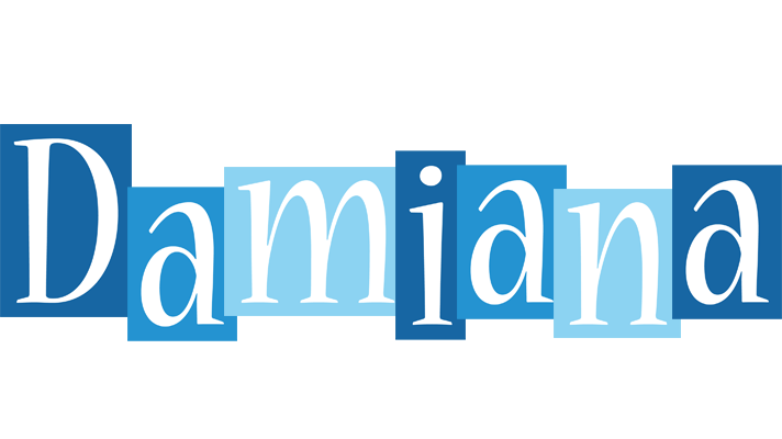 Damiana winter logo