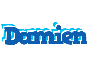 Damien business logo