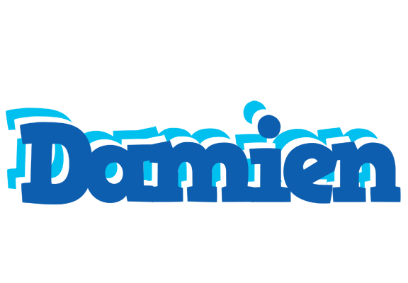 Damien business logo