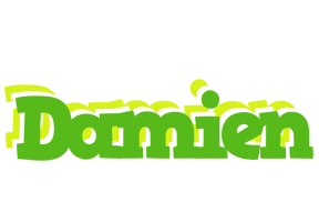 Damien picnic logo