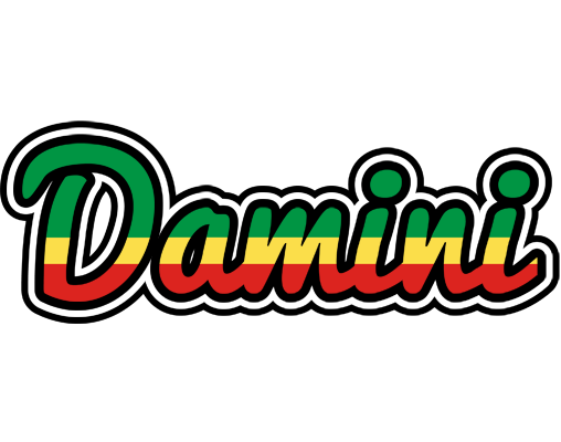 Damini african logo