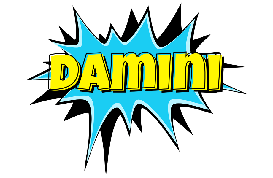 Damini amazing logo