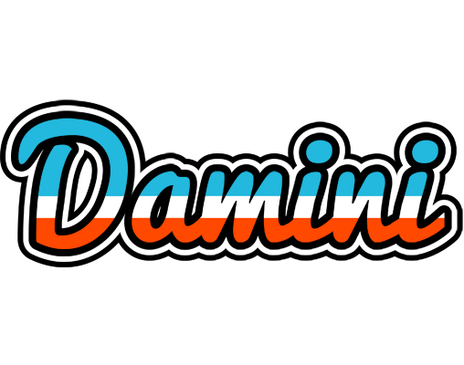 Damini america logo