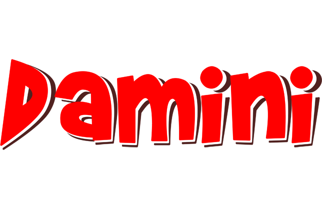 Damini basket logo