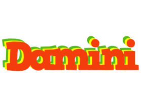 Damini bbq logo