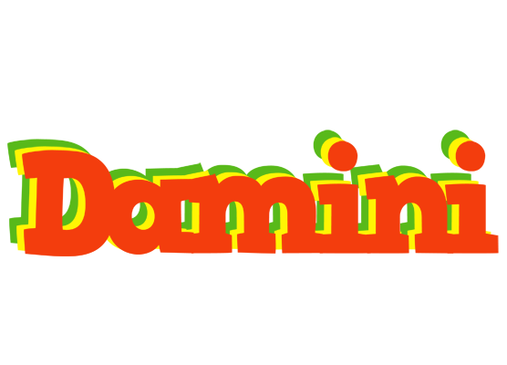 Damini bbq logo
