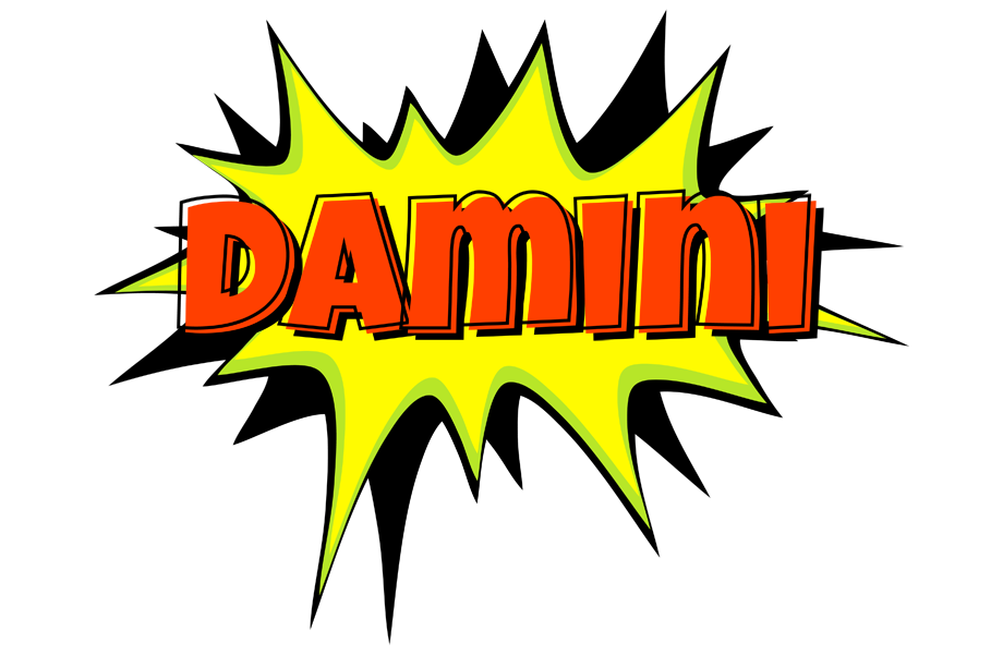 Damini bigfoot logo