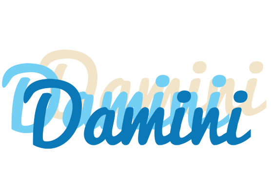 Damini breeze logo