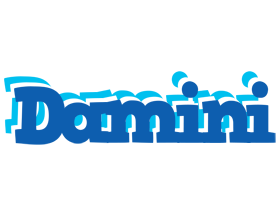 Damini business logo