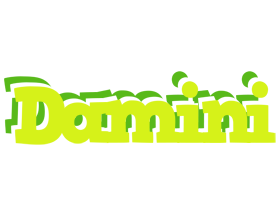 Damini citrus logo