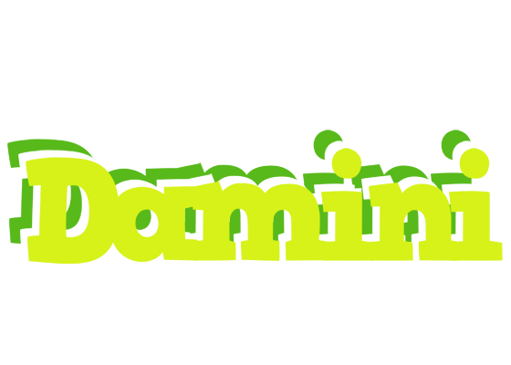 Damini citrus logo