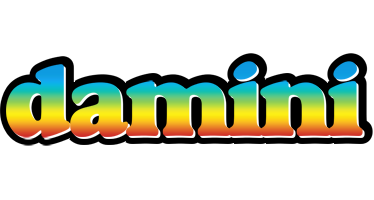 Damini color logo