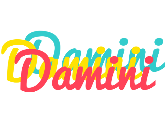 Damini disco logo
