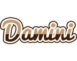 Damini exclusive logo