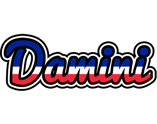Damini france logo