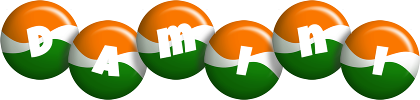 Damini india logo