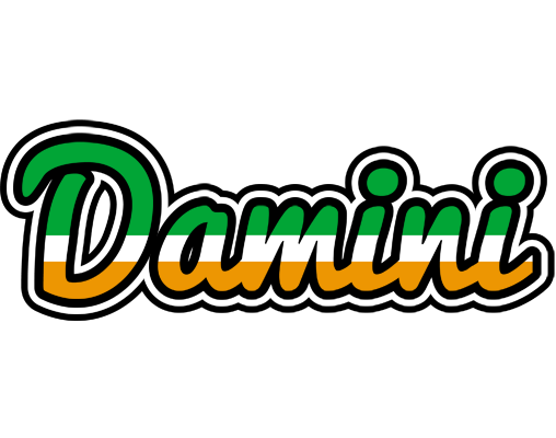 Damini ireland logo