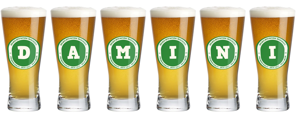 Damini lager logo