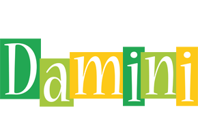 Damini lemonade logo